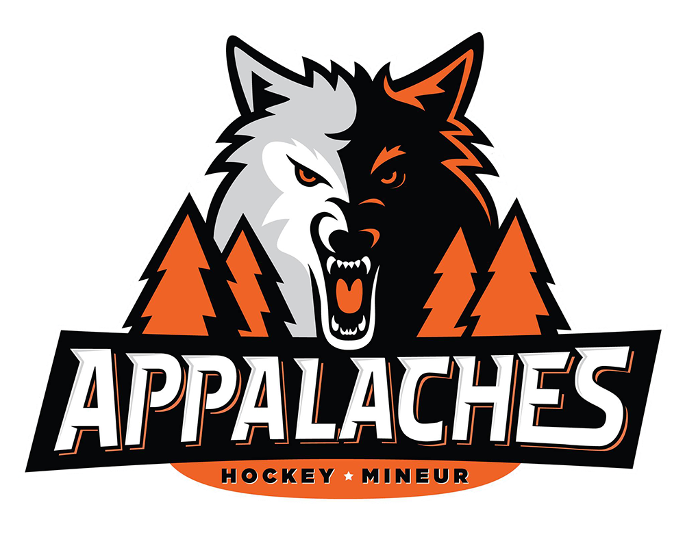 Appalaches hockey mineur